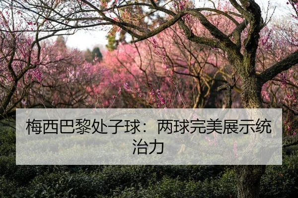 梅西巴黎处子球：两球完美展示统治力 - leyu